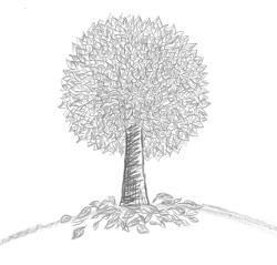 Daniela Schuchmannov, kvarta, 2004/2005