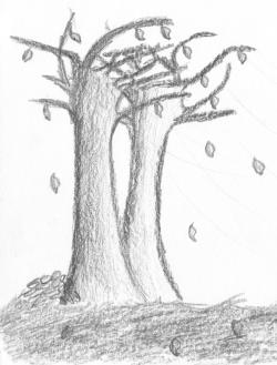 Ingrida Ke�kov�, kvarta, 2004/2005