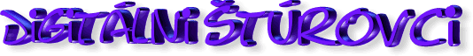 digistur